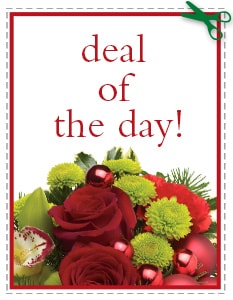 Send The Best Deal of the Day - Biggest Freshest Arrangement