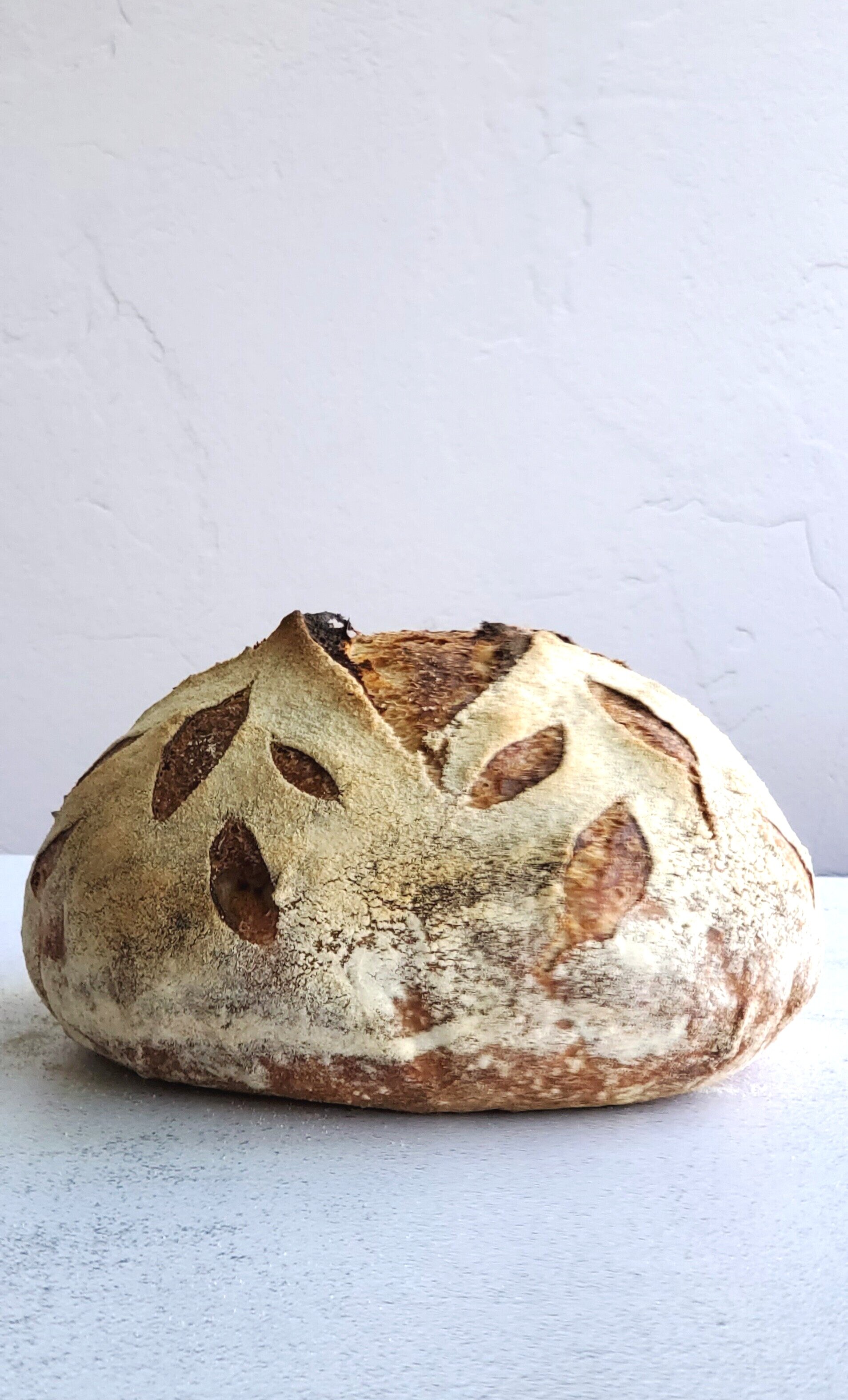 sourdough bread