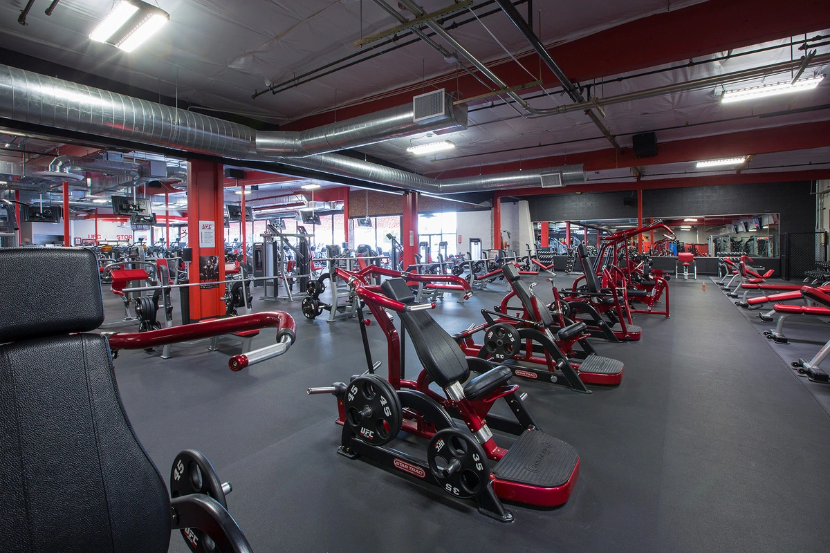 People working out in the gym