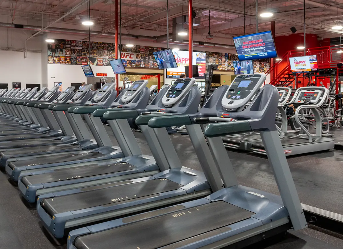 People working out in the gym